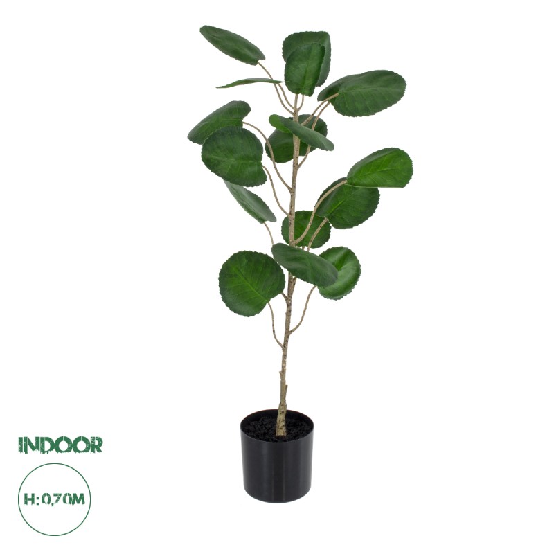 GloboStar® Artificial Garden POLYSCIAS BALFOURIANA TREE 20373 Τεχνητό Διακοσμητικό Φυτό Πολυσκιά Υ70cm