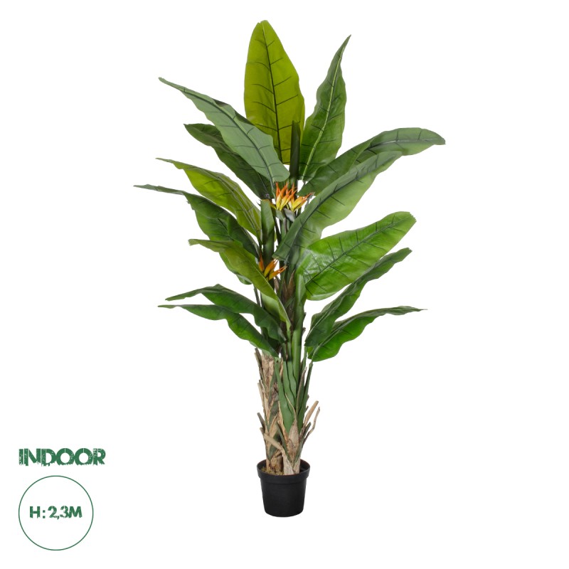 GloboStar® Artificial Garden BANANA STRELITZIA REGINAE 20381 - Τεχνητό Διακοσμητικό Φυτό  Μπανανιά - Στρελίτσια - Πουλί του Παραδείσου Υ230cm