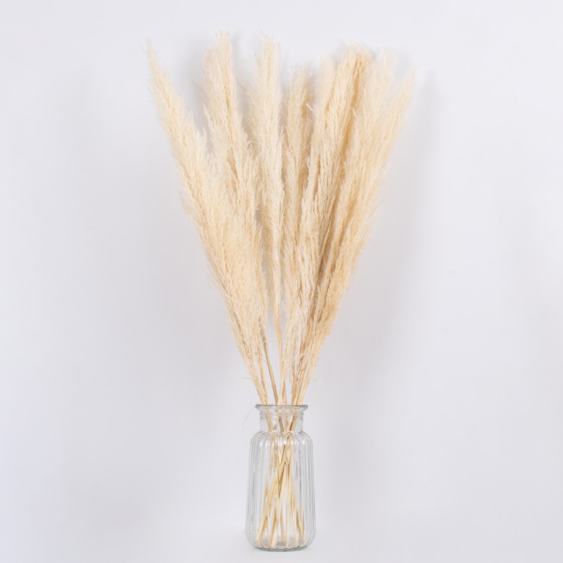 GloboStar® PAMPASGRASS 36507 Αποξηραμένο Φυτό Γρασίδι της Πάμπας - Μπουκέτο Διακοσμητικών Κλαδιών Μπεζ - Εκρού Υ80cm