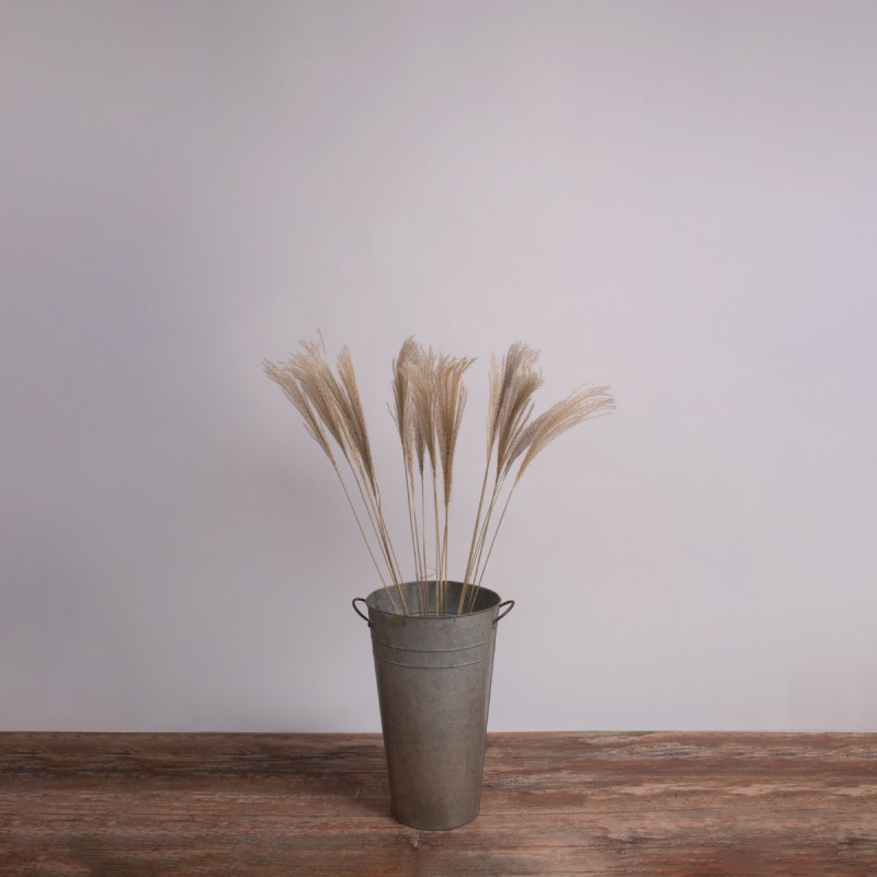 GloboStar® MISCANTHUS 36537 Αποξηραμένο Φυτό Μίσχανθος - Μπουκέτο Διακοσμητικών Κλαδιών Μπεζ Υ100cm