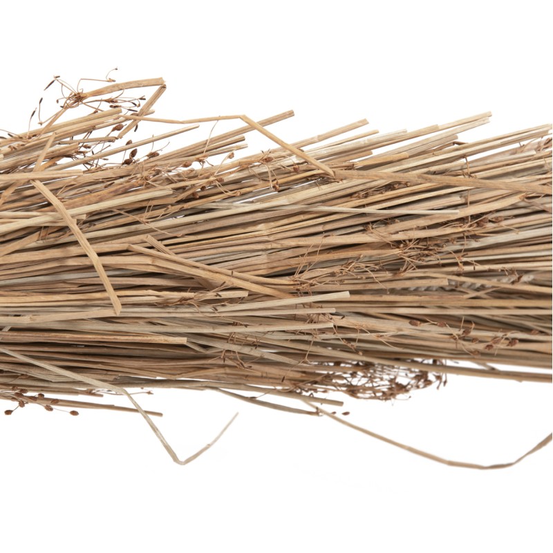 ΔΙΑΚΟΣΜΗΤΙΚΟ ΔΕΝΤΡΟ TROPIC HM4322 τ.ΦΟΙΝΙΚΑ ΑΠΟ MENDONG GRASS 360Yεκ.