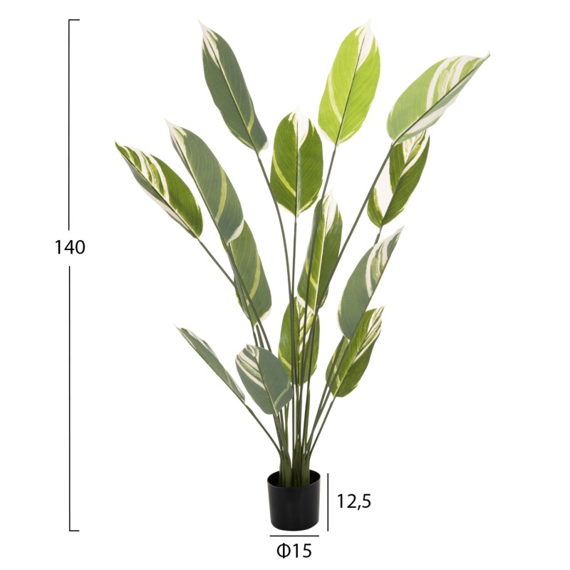 ΔΙΑΚΟΣΜΗΤΙΚΟ ΣΥΝΘΕΤΙΚΟ ΦΥΤΟ HM7997 CALATHEA ΣΕ ΓΛΑΣΤΡΑ 140Υεκ.