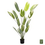 ΔΙΑΚΟΣΜΗΤΙΚΟ ΣΥΝΘΕΤΙΚΟ ΦΥΤΟ HM7997 CALATHEA ΣΕ ΓΛΑΣΤΡΑ 140Υεκ.