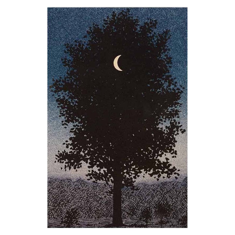 ΠΙΝΑΚΑΣ TOIXOY ΣΕΙΡΑ GOBI HM4850 ΕΚΤΥΠΩΜΕΝΟΣ ΚΑΜΒΑΣ 45x3(πάχος)x70Yεκ.